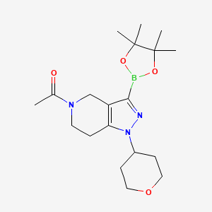 molecular formula C19H30BN3O4 B13331198 1-(1-(Tetrahydro-2H-pyran-4-yl)-3-(4,4,5,5-tetramethyl-1,3,2-dioxaborolan-2-yl)-1,4,6,7-tetrahydro-5H-pyrazolo[4,3-c]pyridin-5-yl)ethan-1-one 