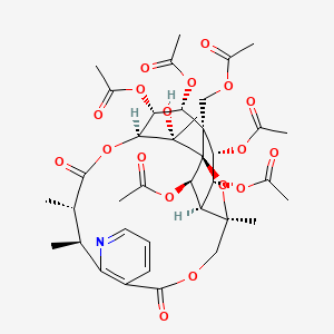 molecular formula C38H47NO18 B13332915 Euonymine 