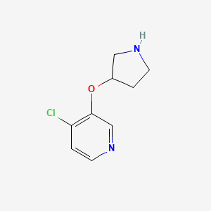 molecular formula C9H11ClN2O B13333639 4-Chloro-3-(pyrrolidin-3-yloxy)pyridine 