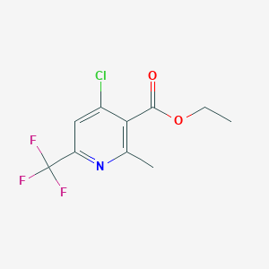 molecular formula C10H9ClF3NO2 B13334589 Ethyl 4-chloro-2-methyl-6-(trifluoromethyl)nicotinate 