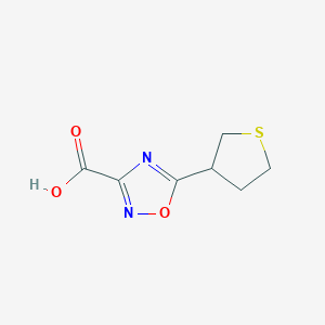 5-(Thiolan-3-yl)-1,2,4-oxadiazole-3-carboxylic acid