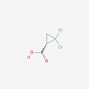 molecular formula C4H4Cl2O2 B13335830 (S)-2,2-Dichlorocyclopropane-1-carboxylic acid 