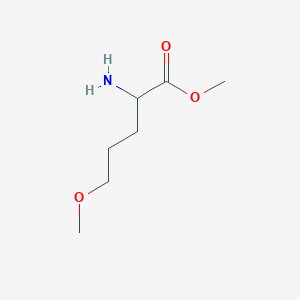 Methyl 2-amino-5-methoxypentanoate