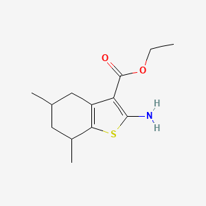 molecular formula C13H19NO2S B13336219 Ethyl 2-amino-5,7-dimethyl-4,5,6,7-tetrahydrobenzo[b]thiophene-3-carboxylate 