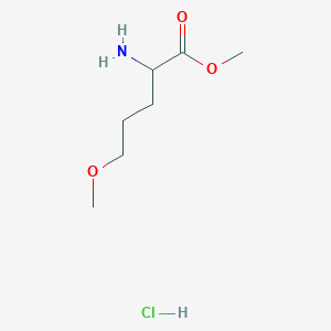 Methyl 2-amino-5-methoxypentanoate hydrochloride