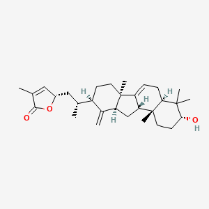 molecular formula C30H44O3 B13338495 KadcoccineacidG 