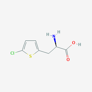 molecular formula C7H8ClNO2S B13338595 (2R)-2-amino-3-(5-chlorothiophen-2-yl)propanoic acid 