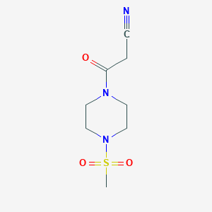 molecular formula C8H13N3O3S B13339890 3-(4-(Methylsulfonyl)piperazin-1-yl)-3-oxopropanenitrile 