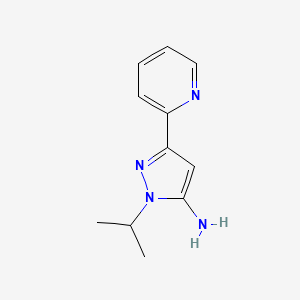 molecular formula C11H14N4 B13340414 1-isopropyl-3-(pyridin-2-yl)-1H-pyrazol-5-amine 