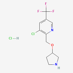 3-Chloro-2-[(pyrrolidin-3-yloxy)methyl]-5-(trifluoromethyl)pyridine hydrochloride