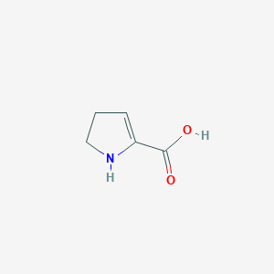 molecular formula C5H7NO2 B13341671 2,3-dihydro-1H-pyrrole-5-carboxylic acid 