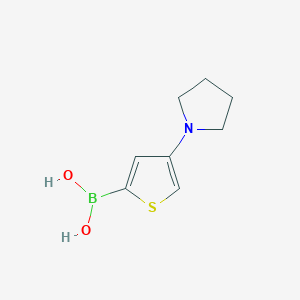 molecular formula C8H12BNO2S B13342133 (4-(Pyrrolidin-1-yl)thiophen-2-yl)boronic acid 