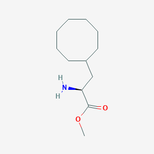 molecular formula C12H23NO2 B13342234 Methyl (S)-2-amino-3-cyclooctylpropanoate 