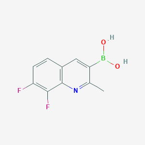 molecular formula C10H8BF2NO2 B13344193 (7,8-Difluoro-2-methylquinolin-3-yl)boronic acid 