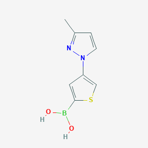 molecular formula C8H9BN2O2S B13344267 (4-(3-Methyl-1H-pyrazol-1-yl)thiophen-2-yl)boronic acid 