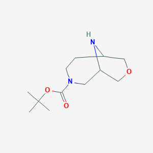 molecular formula C12H22N2O3 B13345161 tert-Butyl 8-oxa-3,10-diazabicyclo[4.3.1]decane-3-carboxylate 