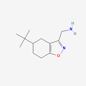 molecular formula C12H20N2O B13345309 (5-(tert-Butyl)-4,5,6,7-tetrahydrobenzo[d]isoxazol-3-yl)methanamine 