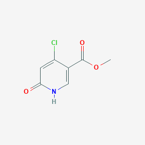 molecular formula C7H6ClNO3 B13345342 Methyl 4-chloro-6-oxo-1,6-dihydropyridine-3-carboxylate 