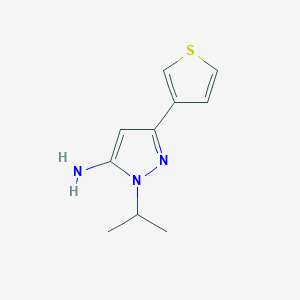 molecular formula C10H13N3S B13346074 1-isopropyl-3-(thiophen-3-yl)-1H-pyrazol-5-amine 