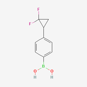 molecular formula C9H9BF2O2 B13346138 (4-(2,2-Difluorocyclopropyl)phenyl)boronic acid 