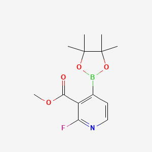 molecular formula C13H17BFNO4 B13346344 Methyl 2-fluoro-4-(4,4,5,5-tetramethyl-1,3,2-dioxaborolan-2-yl)nicotinate 