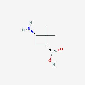 molecular formula C7H13NO2 B13346359 Rel-(1R,3R)-3-amino-2,2-dimethylcyclobutane-1-carboxylic acid 