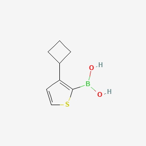 (3-Cyclobutylthiophen-2-yl)boronic acid