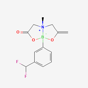 molecular formula C13H14BF2NO3 B13347835 (4R,8S)-8-(3-(difluoromethyl)phenyl)-4-methyl-2-methylene-6-oxohexahydro-[1,3,2]oxazaborolo[2,3-b][1,3,2]oxazaborol-4-ium-8-uide 