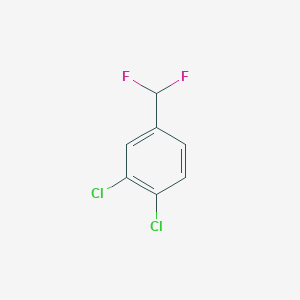 molecular formula C7H4Cl2F2 B13347973 1,2-Dichloro-4-(difluoromethyl)benzene CAS No. 52126-13-3