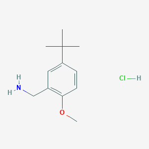 molecular formula C12H20ClNO B13348011 (5-(tert-Butyl)-2-methoxyphenyl)methanamine hydrochloride 