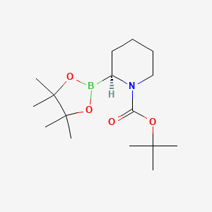 tert-Butyl (S)-2-(4,4,5,5-tetramethyl-1,3,2-dioxaborolan-2-yl)piperidine-1-carboxylate