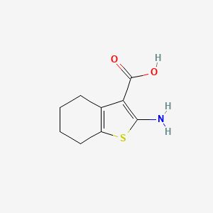 molecular formula C9H11NO2S B1335062 2-氨基-4,5,6,7-四氢-1-苯并噻吩-3-羧酸 CAS No. 5936-58-3