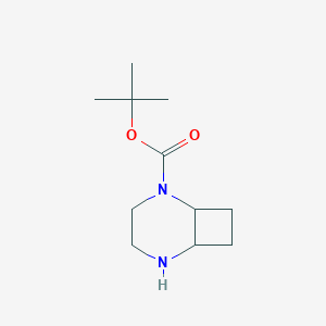 molecular formula C11H20N2O2 B13350991 tert-Butyl 2,5-diazabicyclo[4.2.0]octane-2-carboxylate 