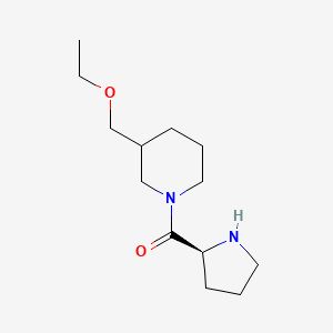 molecular formula C13H24N2O2 B13352479 1-(L-Prolyl)-3-(ethoxymethyl)piperidine 