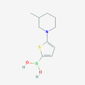 molecular formula C10H16BNO2S B13353933 (5-(3-Methylpiperidin-1-yl)thiophen-2-yl)boronic acid 