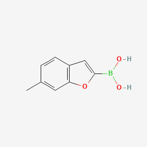 molecular formula C9H9BO3 B13354632 (6-Methylbenzofuran-2-yl)boronic acid 