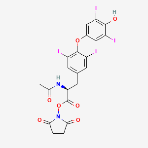 molecular formula C21H16I4N2O7 B13355027 (2,5-dioxopyrrolidin-1-yl) (2S)-2-acetamido-3-[4-(4-hydroxy-3,5-diiodophenoxy)-3,5-diiodophenyl]propanoate 