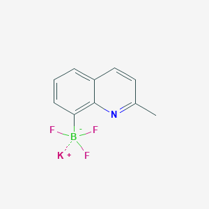 molecular formula C10H8BF3KN B13355252 Potassium trifluoro(2-methylquinolin-8-yl)borate 