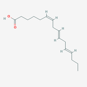 (6Z,9E,12E)-Hexadeca-6,9,12-trienoic acid