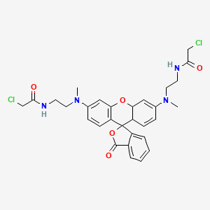 B1335929 N,N'-Bis[2-(chloroacetamido)ethyl]-N,N'-dimethylrhodamine CAS No. 1022050-89-0