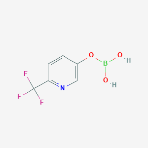 molecular formula C6H5BF3NO3 B13361364 6-(Trifluoromethyl)pyridin-3-yl dihydrogen borate 