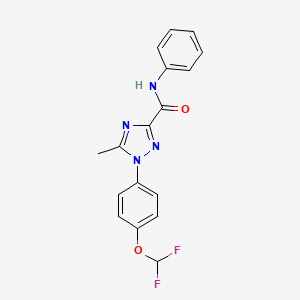 molecular formula C17H14F2N4O2 B13363981 1-[4-(difluoromethoxy)phenyl]-5-methyl-N-phenyl-1H-1,2,4-triazole-3-carboxamide 