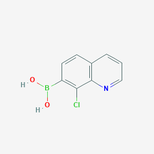 molecular formula C9H7BClNO2 B13364301 (8-Chloroquinolin-7-yl)boronic acid 