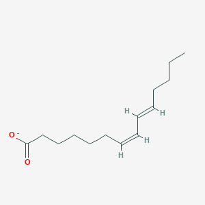 molecular formula C14H23O2- B13366497 (7Z,9E)-Tetradeca-7,9-dienoate 