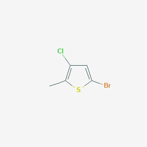 molecular formula C5H4BrClS B13366816 5-Bromo-3-chloro-2-methylthiophene 