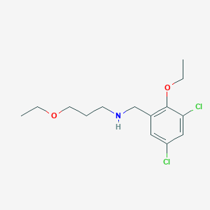 molecular formula C14H21Cl2NO2 B13378637 N-(3,5-dichloro-2-ethoxybenzyl)-3-ethoxypropan-1-amine 