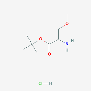 molecular formula C8H18ClNO3 B13383521 Tert-butyl 2-amino-3-methoxypropanoate hydrochloride 