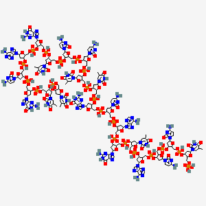 molecular formula C194H249N67O125P20 B13383550 P-dThd-P-dCyd-P-dCyd-P-dAdo-P-dThd-P-dGuo-P-dAdo-P-dCyd-P-dGuo-P-dThd-P-dThd-P-dCyd-P-dCyd-P-dThd-P-dGuo-P-dAdo-P-dCyd-P-dGuo-P-dThd-P-dThd 