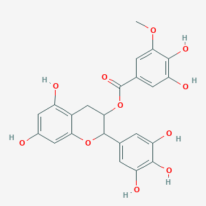 molecular formula C23H20O11 B13387750 [5,7-dihydroxy-2-(3,4,5-trihydroxyphenyl)-3,4-dihydro-2H-chromen-3-yl] 3,4-dihydroxy-5-methoxybenzoate 