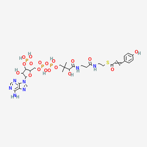 molecular formula C30H42N7O18P3S B13390511 S-{1-[5-(6-Amino-9H-purin-9-yl)-4-hydroxy-3-(phosphonooxy)oxolan-2-yl]-3,5,9-trihydroxy-8,8-dimethyl-3,5,10,14-tetraoxo-2,4,6-trioxa-11,15-diaza-3lambda~5~,5lambda~5~-diphosphaheptadecan-17-yl} 3-(4-hydroxyphenyl)prop-2-enethioate 